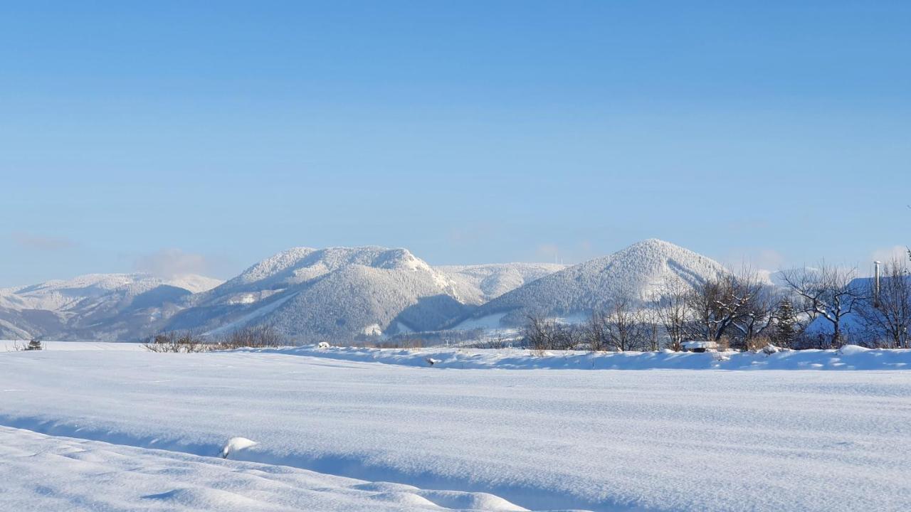 Vila Doliny Konska  Экстерьер фото